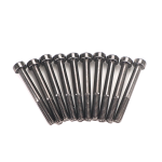 GT060081 Goosky RS5/6 Screw - M3X25